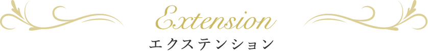 エクステンション